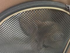 -纳吉亚猫专科动物医院博雅分院