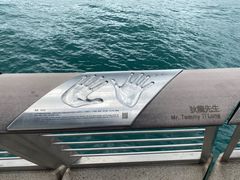 -星光大道