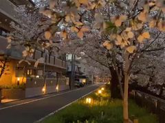 -名古屋城