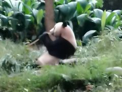 -都江堰中华大熊猫苑