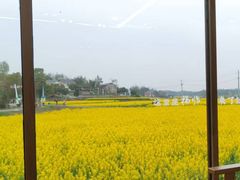-影珠山