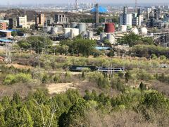 -白水寺森林公园
