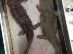 长青路覃记海鲜-覃记海鲜美食餐厅