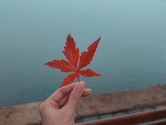 -东湖磨山景区