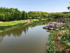 -上海长兴岛郊野公园