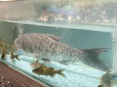 -钵家大院·地道湖北菜(江夏·大花岭店)