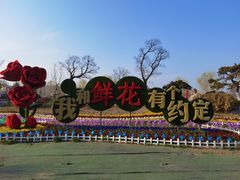 -南通鲜花小镇
