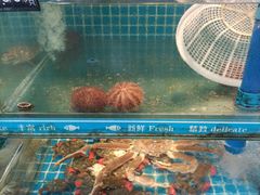 -鲜鲜·鲅鱼圈海鲜(于洪店)