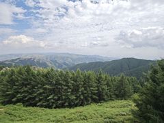-苏木山森林公园