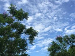 老房子民风酒楼·毗河店·婚宴(毗河店)-老房子金沙元年川菜食府·草坪婚礼(毗河店)