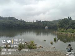 -深圳仙湖植物园