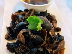凉拌木耳-叁拾壹克饺子·东北菜(国贸店)