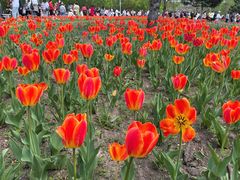 -长春公园(普阳街道)