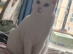 -张翻越·川渝冒菜·武汉黑鸭煲(城北万象城店)