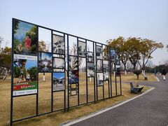 -府河摄影公园