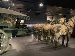 -秦始皇帝陵博物院-丽山园