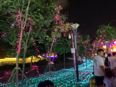 -广西壮族自治区药用植物园