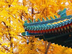 -香山公园