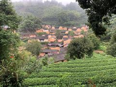 -杨家堂村