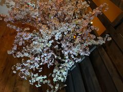 -Kushi Japanese Kitchen & Bar