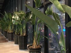 -CLASS国际公馆诺伯曼超越运动会馆