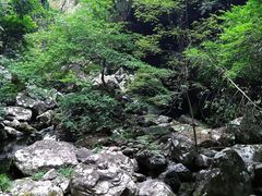 -福建天门山