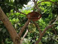 -南通洲际绿博园