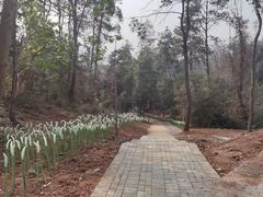 -青龙山国家森林公园