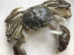-蟹小姐节气生鲜·年货(高新店)
