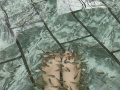-汤山一号温泉度假区