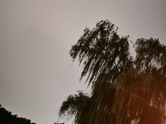 -东华门大街小区