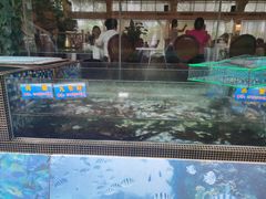 -金河半岛园林酒家(金融城店)