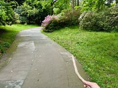 -杭州植物园