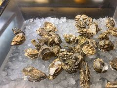 -新希望诺富特酒店-青岛湾中餐厅