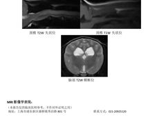 -康成宠物医院24H·CT·核磁共振
