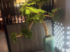 -匠和风精致料理(成都龙湖滨江天街店)