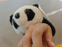 -小吊梨汤·北京菜·烤鸭(五角场万达店)