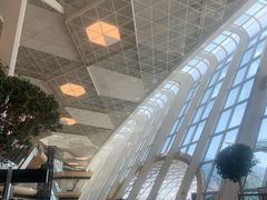 -盖达尔·阿利耶夫国际机场