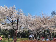 -堤角公园