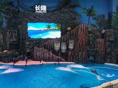 -珠海长隆海洋王国