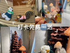 -岭南站NOVA