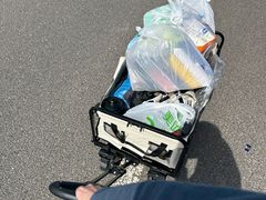 -春花秋色城市公园