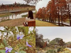 -东莞植物园