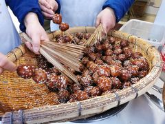 -邓记新一代糖油果子(四川煤管局供销公司职工宿舍店)