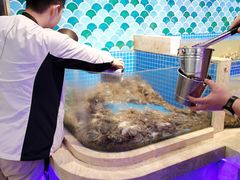 河蟹-乔哥铭洋海鲜自助(皇城恒隆广场店)