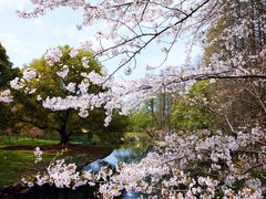 -共青国家森林公园-售票处