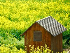 -中国天府农业博览园