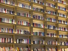 -深影国际影城(学院南路店CGS中国巨幕店)