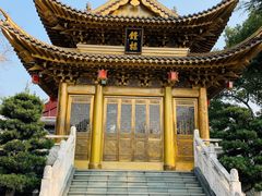 -上海东林寺(金山区)
