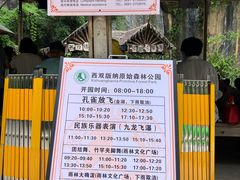 -西双版纳原始森林公园